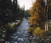 korpan1.jpg