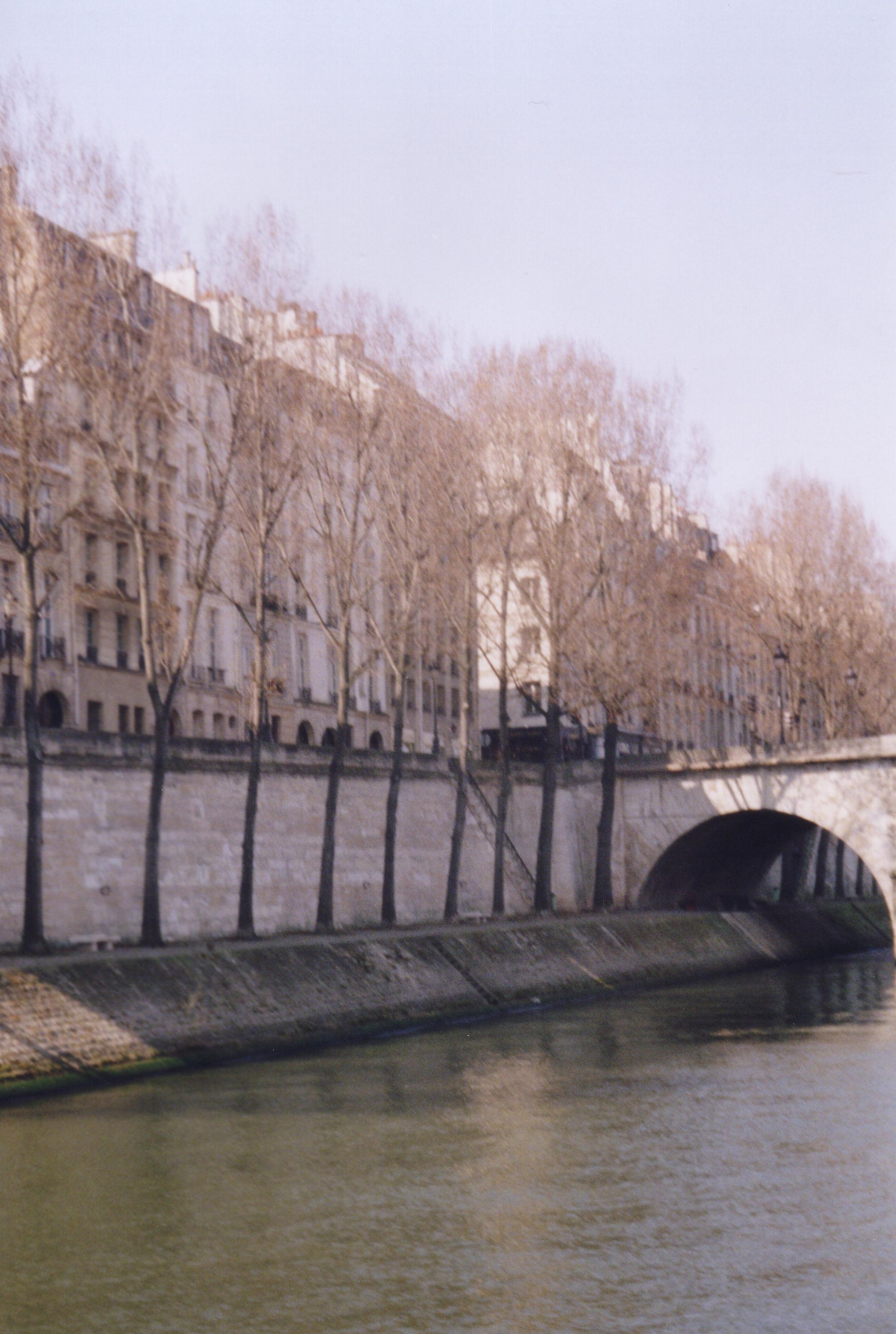 vidseine.jpg
